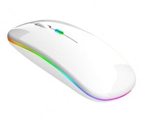 Wireless RGB Mouse 1884191116406 cena un informācija | Peles | 220.lv