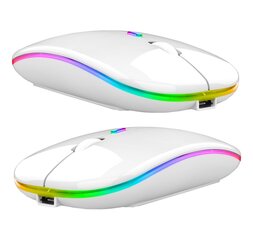 Wireless RGB Mouse 1884191116406 cena un informācija | Peles | 220.lv