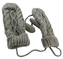 Зимние рукавицы цена и информация | Женские перчатки | 220.lv