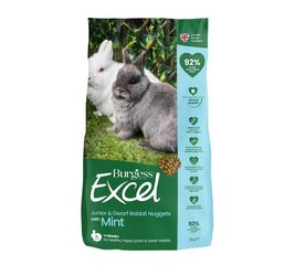 Barība trušiem Burgess Excel Junior Mint, 1,5 kg цена и информация | Корм для грызунов | 220.lv