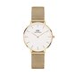 Pulkstenis Daniel Wellington DW00100348 cena un informācija | Sieviešu pulksteņi | 220.lv