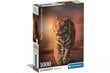 Puzle ar tīģeri Clementoni, 39773, 1000 d. cena un informācija | Puzles, 3D puzles | 220.lv