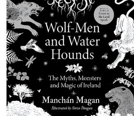 Wolf-Men and Water Hounds: The Myths, Monsters and Magic of Ireland цена и информация | Книги для подростков и молодежи | 220.lv