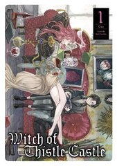 Witch of Thistle Castle Vol.1 cena un informācija | Fantāzija, fantastikas grāmatas | 220.lv