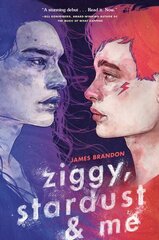 Ziggy, Stardust and Me цена и информация | Книги для подростков и молодежи | 220.lv