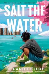 Salt the Water цена и информация | Книги для подростков и молодежи | 220.lv