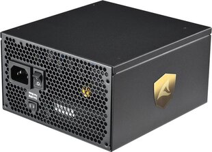 Sharkoon Rebel P30 Gold цена и информация | Блоки питания (PSU) | 220.lv