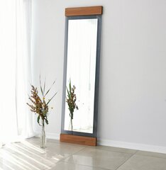 Зеркало Asir, 50x170x3см, серый/коричневый цена и информация | Зеркала в ванную | 220.lv