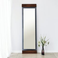 Spogulis Asir, 50x170x3cm, pelēks/tumši brūns цена и информация | Зеркала в ванную | 220.lv
