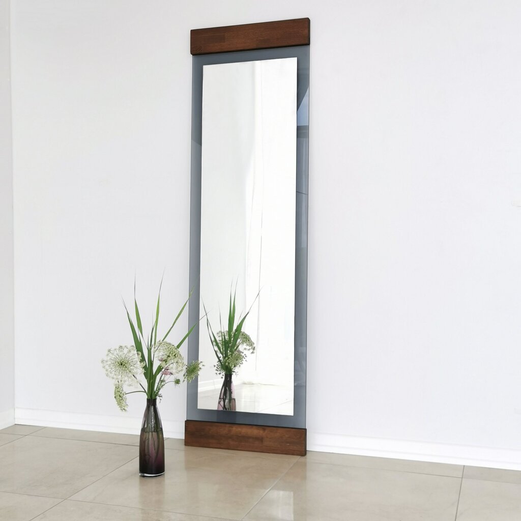 Spogulis Asir, 50x170x3cm, pelēks/tumši brūns cena un informācija | Vannas istabas spoguļi | 220.lv