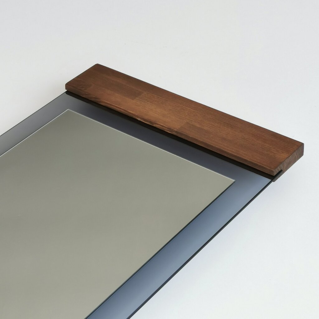 Spogulis Asir, 50x170x3cm, pelēks/tumši brūns cena un informācija | Vannas istabas spoguļi | 220.lv