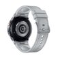 Samsung Galaxy Watch6 Classic 43mm BT Silver SM-R950NZSAEUB cena un informācija | Viedpulksteņi (smartwatch) | 220.lv