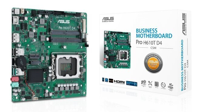 Asus Pro H610T D4-CSM cena un informācija | Mātesplates | 220.lv