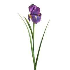 Искусственное растение Ирис цена и информация | цветочные соцветия 1 шт | 220.lv