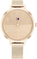 Tommy Hilfiger Флоренция 1782580 цена и информация | Женские часы | 220.lv