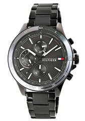 Zegarek Męski Tommy Hilfiger 1791719 цена и информация | Мужские часы | 220.lv