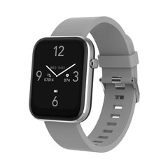 Denver SW-182 Grey цена и информация | Смарт-часы (smartwatch) | 220.lv