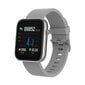 Denver SW-182 Grey цена и информация | Viedpulksteņi (smartwatch) | 220.lv