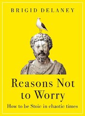 Reasons Not to Worry: How to be Stoic in chaotic times цена и информация | Самоучители | 220.lv