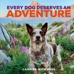 Every Dog Deserves an Adventure цена и информация | Книги о питании и здоровом образе жизни | 220.lv