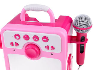 Bērnu mikrofons ar skaļruni cena un informācija | Attīstošās rotaļlietas | 220.lv