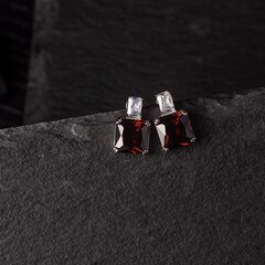 Серебряные серьги с кубическим цирконием Silver Selection для женщин W61427494 1000000034801 цена и информация | Серьги | 220.lv