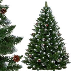 Ziemassvētku eglītes Springos, 200 cm цена и информация | Искусственные елки | 220.lv