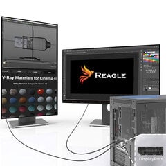 Reagle HDMI DP DisplayPort 4K, 3m цена и информация | Кабели и провода | 220.lv