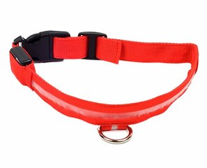 LED vītņu virve Perf QQ24, 32-37 cm, sarkana cena un informācija | Apkakles, siksnas suņiem | 220.lv