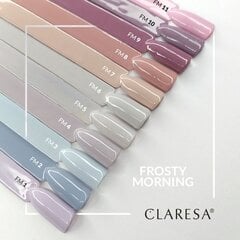 Стойкий гибридный гель лак для ногтей CLARESA Frosty Morning 2, 5 г цена и информация | Лаки для ногтей, укрепители | 220.lv