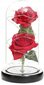 Stabilizēta roze Wr6 cena un informācija | Stabilizētās rozes, augi | 220.lv