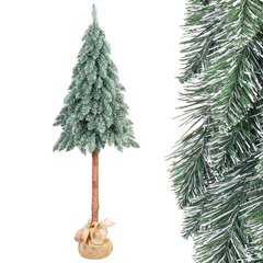 Ziemassvētku eglīte Goliath, 200 cm цена и информация | Искусственные елки | 220.lv