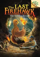 Secret Maze: A Branches Book (the Last Firehawk #10): Volume 10 cena un informācija | Grāmatas pusaudžiem un jauniešiem | 220.lv