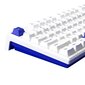 Akko Monsgeek MG108B, V3 Pro Cream Blue Switch cena un informācija | Klaviatūras | 220.lv