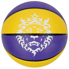Basketbola bumba Nike Lebron James cena un informācija | Basketbola bumbas | 220.lv