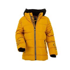 Jaka zēniem Nature, dzeltena цена и информация | Куртки для мальчиков | 220.lv