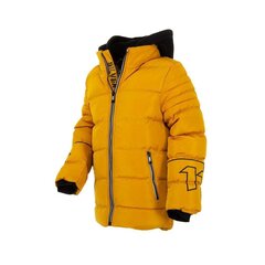 Jaka zēniem Nature, dzeltena цена и информация | Куртки для мальчиков | 220.lv