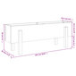 Dārza puķu kaste vidaXL, 101x30x38 cm, pelēks cena un informācija | Balkona kastes | 220.lv