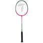 Badmintona komplekts SMJ TL020, daudzkrāsains cena un informācija | Badmintons | 220.lv