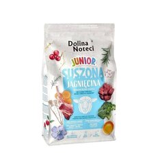 Dolina Noteci Premium Junior jauniem suņiem ar metienu, 4 kg cena un informācija | Sausā barība suņiem | 220.lv