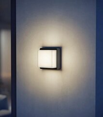 Sienas LED āra apgaismojums ar sensoru, L845 цена и информация | Уличное освещение | 220.lv