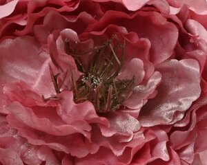 Mākslīgā roze, rozā/sudraba цена и информация | цветочные соцветия 1 шт | 220.lv