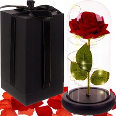 Mūžīgā roze Malatec, 22 cm cena un informācija | Stabilizētās rozes, augi | 220.lv