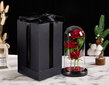 Stabilizēta roze Everbly Rose цена и информация | Stabilizētās rozes, augi | 220.lv
