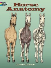 Horse Anatomy Coloring Book цена и информация | Книги для самых маленьких | 220.lv