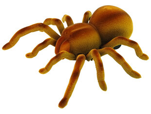 Tālvadības rotaļlieta zirneklis Tarantula, brūna cena un informācija | Rotaļlietas zēniem | 220.lv