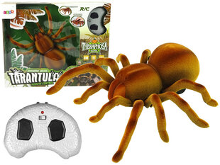 Tālvadības rotaļlieta zirneklis Tarantula, brūna cena un informācija | Rotaļlietas zēniem | 220.lv