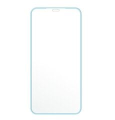 Fluo Glass защитное стекло Iphone 11 Pro Max 6,5" синий цена и информация | Защитные пленки для телефонов | 220.lv