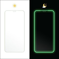 Fluo Glass защитное стекло Iphone XR 6,1" зеленый цена и информация | Защитные пленки для телефонов | 220.lv
