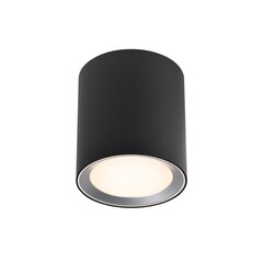 Nordlux потолочный светильник для ванны IP IP44 2110670103 цена и информация | Потолочные светильники | 220.lv